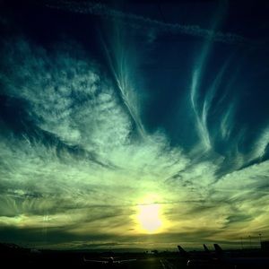 Meet your Posher, Cammie